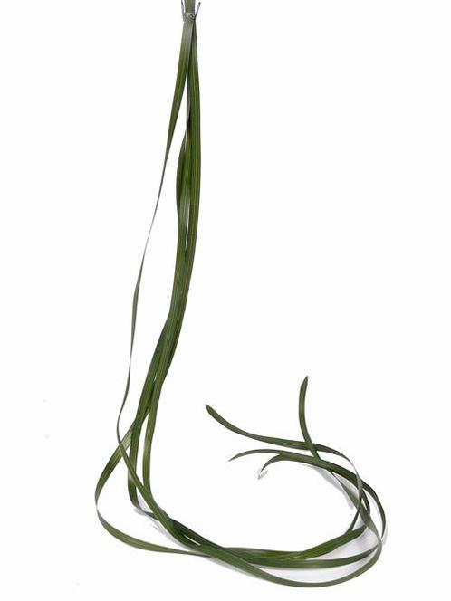 Berengras Beregras Zijdebloem Beregras berengras, Huis en Inrichting, Woonaccessoires | Kunstplanten en Kunstbloemen, Nieuw, Ophalen of Verzenden