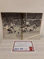 England - England - THE WORLD CUP 1966, Nieuw