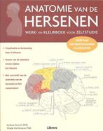 anatomie van de hersenen 9789463591072, Verzenden, Zo goed als nieuw