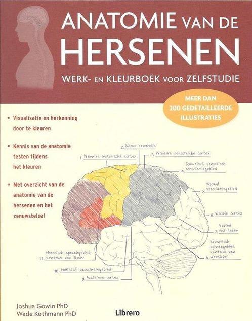 anatomie van de hersenen 9789463591072, Boeken, Schoolboeken, Zo goed als nieuw, Verzenden