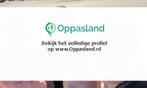 Lisa zoekt een oppas in Didam voor 2 kinderen op donderda..., Nieuw
