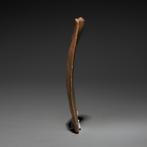 Oud-Egyptisch Vuursteen Handbijl - mes. 6,3 cm hoog.