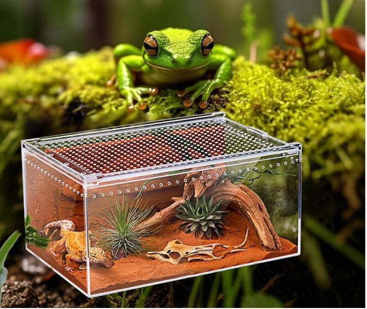 Transparant Reptielen Terrarium Acryl met Ventilatie, Dieren en Toebehoren, Reptielen en Amfibieën | Toebehoren, Nieuw, Verzenden