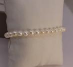 Zonder Minimumprijs - Armband 5x5,5 mm ronde Akoya Parel, Nieuw