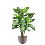 Dieffenbachia kunstplant, H115cm, Ophalen of Verzenden