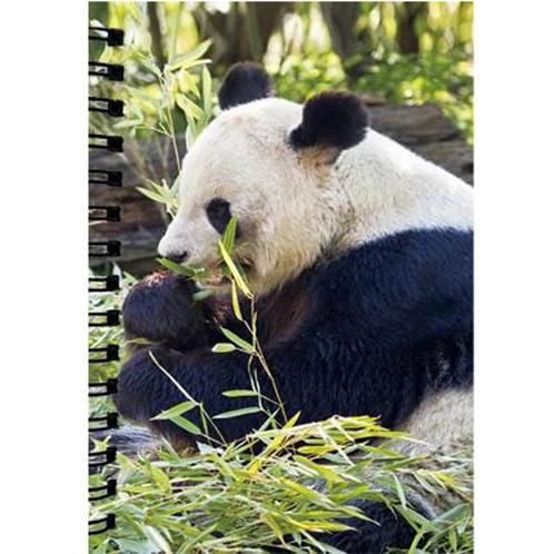 Notitieboekje 3d Panda blanco NIEUW, Diversen, Schrijfwaren, Nieuw, Ophalen of Verzenden