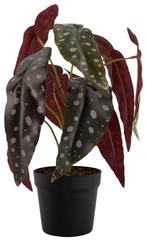 HEMA Kunstplant begonia met stippen van €9.75 voor €5 sale, Verzenden
