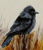 Urszula Lemaska (XX-XXI) - Young Raven