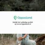 Sandra zoekt een oppas in Rozendaal., Boeken, Nieuw