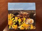 Luxemburg. 5 Euro 2013 Abeille Européenne Proof (Zonder