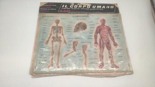 Rico - Firenze ( Italia) - Medisch instrument - Reliëfplaat, Antiek en Kunst, Antiek | Wandborden en Tegels