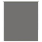 vidaXL Rolgordijn verduisterend 140x175 cm stofbreedte 136,6, Verzenden, Nieuw, Grijs