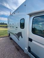 Degelijke Renault MTM dubbelcabine! 150.000km!, Ophalen, Zo goed als nieuw, Polyester, Overige typen