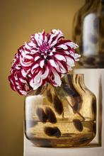 2dekans | Mica Decorations Pantera Vaas - Glas - Bruin met, Huis en Inrichting, Ophalen of Verzenden, Zo goed als nieuw