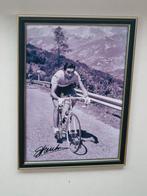 Tour de France - Eddy Merckx - Foto, Nieuw