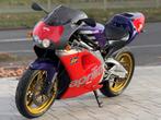 Aprilia - RS250 - Loris Reggiani - 250 cc - 1995, Motoren