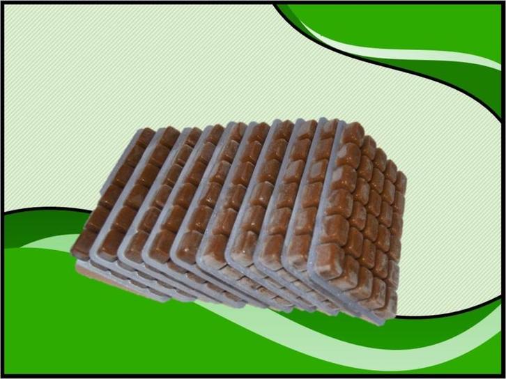 Daphnia(watervlooien) 10x100 gram diepvriesvoer (Visvoeding), Dieren en Toebehoren, Vissen | Aquaria en Toebehoren, Nieuw, Verzenden