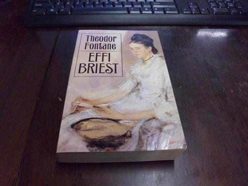 Effi Briest 9789029517348 Fontane, Boeken, Romans, Gelezen, Verzenden