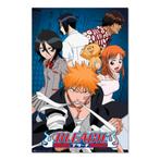 Poster Bleach 61x91,5cm, Verzenden, Nieuw, A1 t/m A3