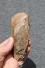 Neolithisch Vuursteen Bijl - 12.2 cm