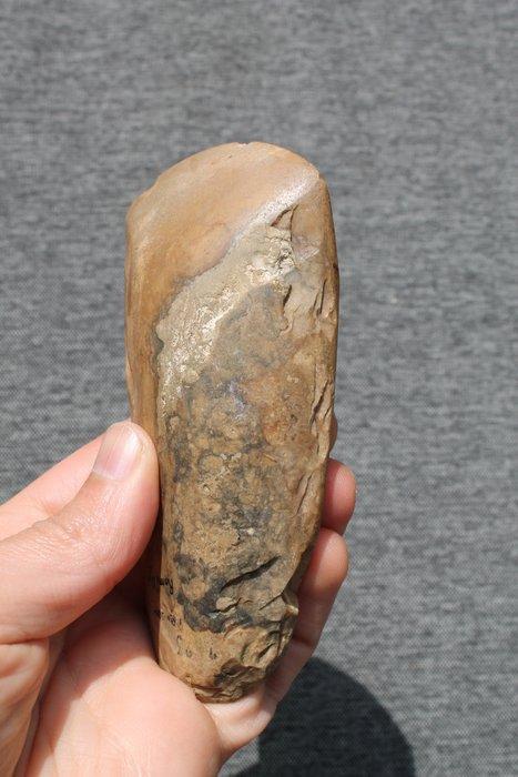 Neolithisch Vuursteen Bijl - 12.2 cm, Antiek en Kunst, Antiek | Overige Antiek