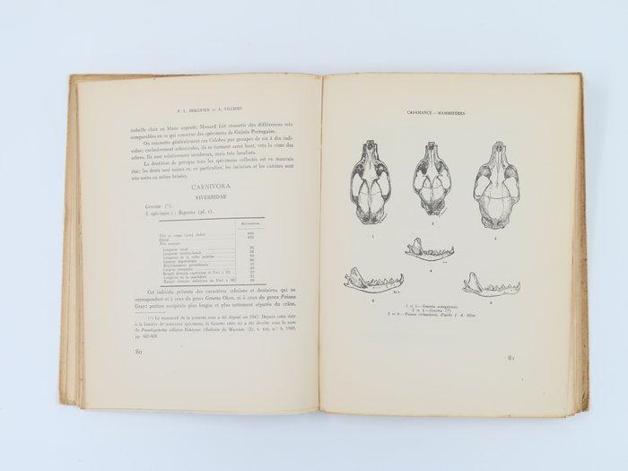 Conferência Internacional dos Africanistas Ocidentais -, Antiek en Kunst, Antiek | Boeken en Bijbels