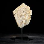 Decoratief ornament (2) - NO RESERVE PRICE - Stunning Pair