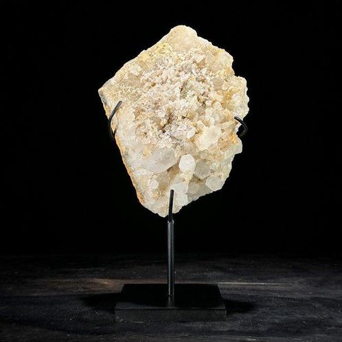 Decoratief ornament (2) - NO RESERVE PRICE - Stunning Pair, Antiek en Kunst, Kunst | Designobjecten