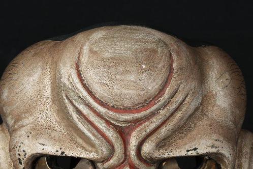 Noh masker - Shishiguchi (Leeuwenmond ) - Hout (Zonder, Antiek en Kunst, Antiek | Overige Antiek