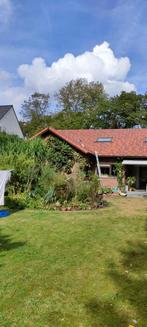 Restpartij Sneldek dakpannen 4000 stuks rustiek rood, Verzenden, Nieuw, 15 m² of meer, Dakpannen