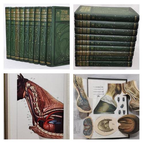 Prof. J. Wortley Axe - The Horse Its Treatment In Health And, Antiek en Kunst, Antiek | Boeken en Bijbels