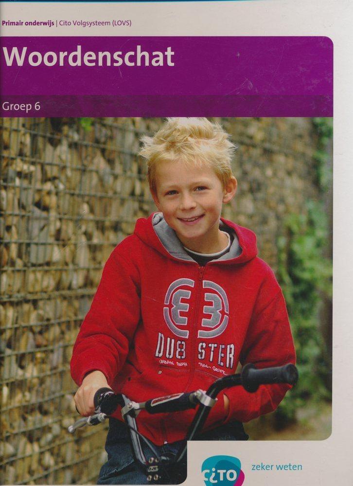 CITO/LOVS (2008) Woordenschat groep 6, Boeken, Schoolboeken, Nieuw, Verzenden