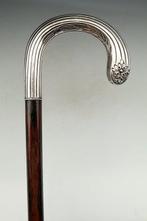 Wandelstok - .950 zilver