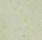 Forbo Marmoleum Love Life energize 3430 salsa verde, Verzenden, Nieuw