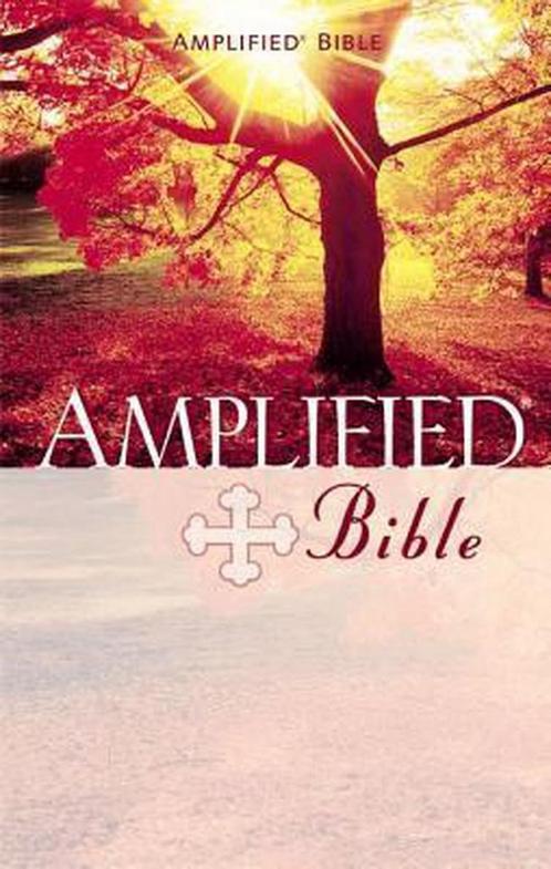 The Amplified Bible 9780310951681 van, Boeken, Taal | Engels, Gelezen, Verzenden