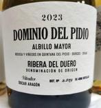 2023 Dominio del Pidio Albillo, white wine x1 & 2019, Verzamelen, Nieuw