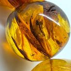 Exclusieve halsketting van natuurlijk Baltisch amber met