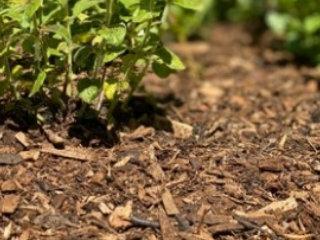 Houtmulch - 480 Liter, Tuin en Terras, Tuinwanddecoratie, Verzenden