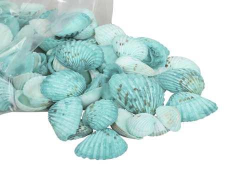 Tiger Chippy schelpen groen, 500 gram, Hobby en Vrije tijd, Knutselen, Nieuw, Ophalen of Verzenden