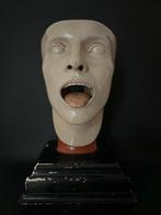 Onderwijs/demonstratiemodel - Gips - 1920-1930 - Afgesneden