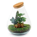 DIY terrarium - Drop XL Red -  37 cm - Normal, Verzenden