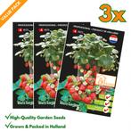 Aardbei Tresca: Kweek Zoete, Heerlijke en Sappige Aardbeien, Verzenden