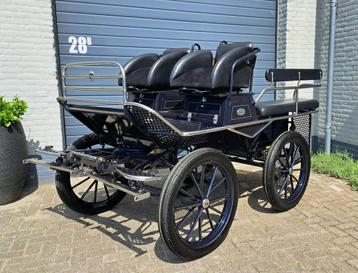 Glinkowski easy-step menwagen koets rijtuig beschikbaar voor biedingen