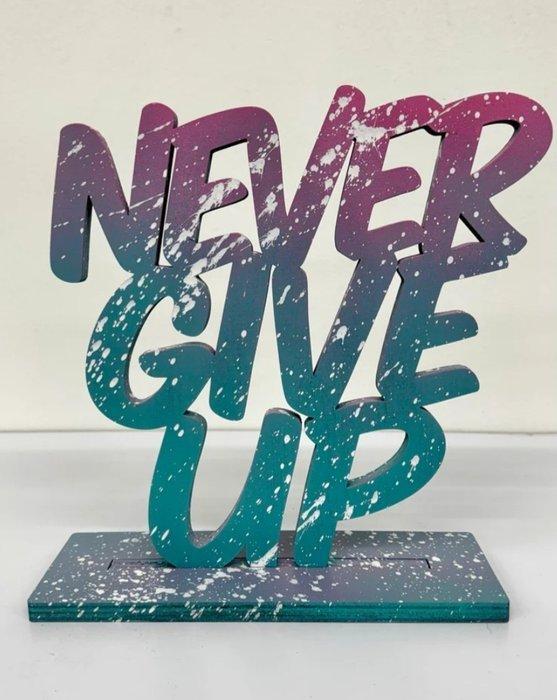 AIIROH - NEVER GIVE UP, Antiek en Kunst, Kunst | Designobjecten