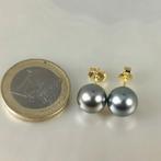 Oorbellen - 18 karaat Geel goud Parel - Tahiti ronde Ø, Sieraden, Tassen en Uiterlijk, Oorbellen, Nieuw