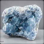 Natuurlijke celestiet-Druse – Hemelsblauwe schat uit de, Verzamelen, Mineralen en Fossielen