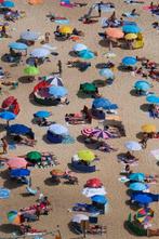 Gilliard Bressan - Beach Mosaic - XL