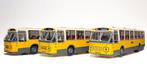 Artitec 1:87 - Modelbus (3) - Set van 3 NZH Streekbussen -, Nieuw
