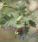 Life cycles: Acorn to oak tree by Camilla De la Bdoyre, Gelezen, Verzenden, Camilla De La Bedoyere