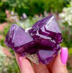 Fantastische grote paarse aluniet-kristalcluster op matrix,